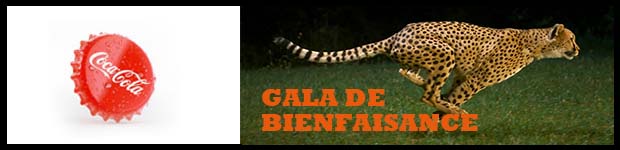 gala-de-bienfaisance